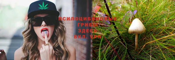 молекула духа Алзамай