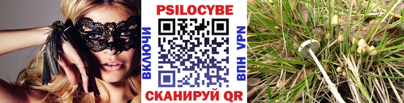 Галлюциногенные грибы GOLDEN TEACHER  Сясьстрой 